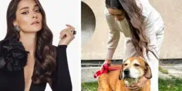 Има ли до себе си нов мъж ергенката Валерия?! Какви слухове се носят? СНИМКА 8
