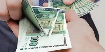 Намалява тарикатската схема, при която мнозина безработни българи получаваха по над 2 бона месечно 6