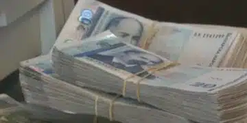Роден икономист: тези, които вземат заплата над 50 000 лв. всеки месец, да им се удържа данък по 20% 2