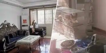 Наематели оставиха без думи собственика на апартамента, след като от луксозно обзаведен, го превърнаха в кокошарник 3