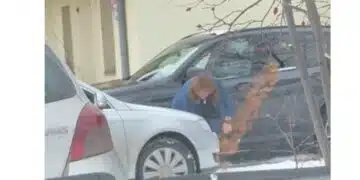 Срам и резил! Жена посегна на дръвчетата, само и само да си освободи място където да паркира в София ВИДЕО 2