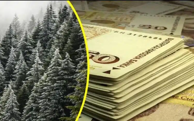 Едно село се надигна на бунт заради липсата на ток, иска си парите – изпратили и жалба 1 Едно село се надигна на бунт заради липсата на ток, иска си парите – изпратили и жалба 1