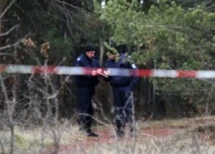 Фатален инцидент с полицай по време на лов във Видинско 1