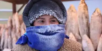 Защо на хора в най-студения град на света не са им нужени хладилници? 3
