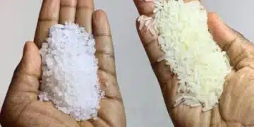 Защо да комбинирате сол и ориз? 10