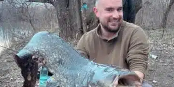 У нас пловдивчанин хвана сом Гигант на река Марица 2