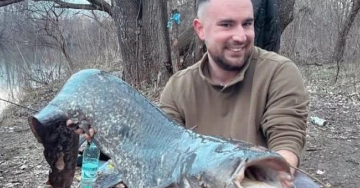У нас пловдивчанин хвана сом Гигант на река Марица Щастлив рибар с впечатляващ улов на огромен сом край река.