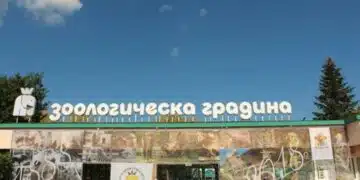 Честито! Увеличават цената на входа за столичния зоопарк от 4 на 10 лв. 12