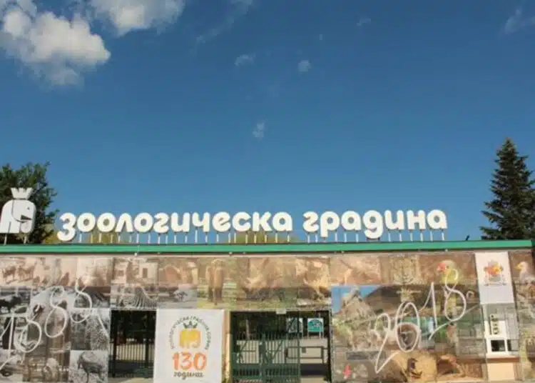 Честито! Увеличават цената на входа за столичния зоопарк от 4 на 10 лв. 1