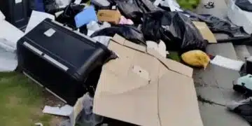 След като наследи къщата, снаха ми започна да изхвърля нещата ми, но кармата не я подмина, татко щеше да е горд! 5