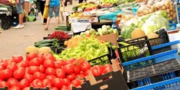 Съседи на страната ни идват у нас заради евтини и качествени стоки 4