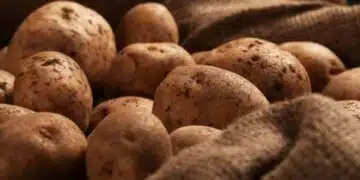 Картофите ще издържат по-дълго, ако използвате този много подходящ метод 8