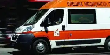Огромна трагедия: при тежка катастрофа между микробус и тир край Видин трима души са напуснали нашия свят 5