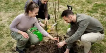 Засадете тези 5 плодни дървета през пролетта и те ще дадат реколта възможно най-бързо 1