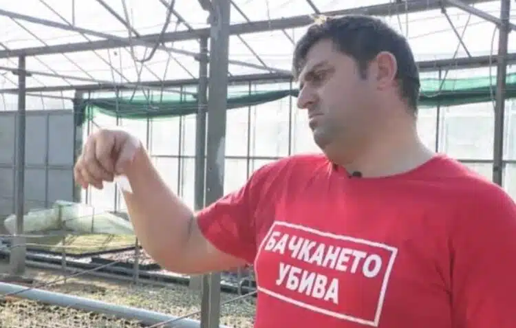 Роден производител на зеленчуци каза истината: продавам доматите си за 80 стотинки, а в магазина ги дават за 5 лева 1