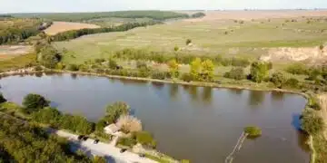 Край град Цар Калоян продават емблематичен рибарник 2