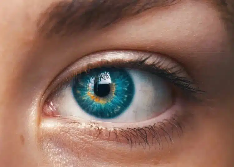 Виждат ли очите ни разликата между 4K и 8K телевизори или всичко е маркетингов трик? 1