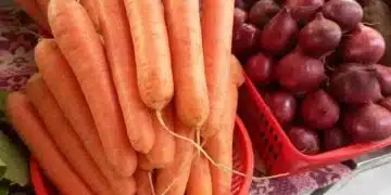 Посочени са продукти, които удължават младостта: ще се изненадате, когато разберете 3