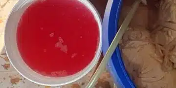 Ето защо е наистина полезно да се консумира зелева супа 2