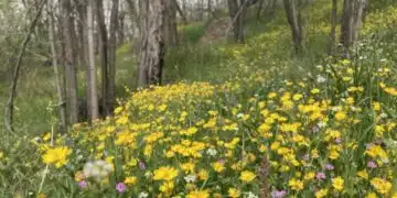 От Meteo Balkans дадоха пълната прогноза за времето за Май: Ето какво ни очаква 12