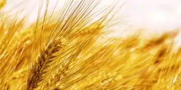 Днес числото 13 ще повлияе на тези 4 зодии 2
