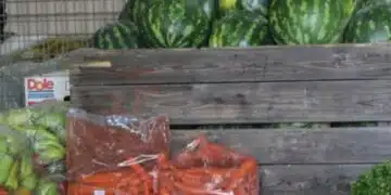 Всички се чудят кой ще снабдява държавните магазини и кой ще работи в тях? 5