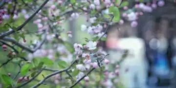 По какъв начин дърветата могат да "дишат"? 3