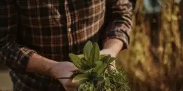 Ако видите тези растения в градината си, незабавно ги изкоренете: те изтощават почвата за един сезон 10