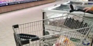 КНСБ за разликата между доставната и продажната цена: в търговските вериги тя е между 50 и 90% 1
