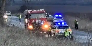 Черен вторник! Огромна трагедия на пътя – има загинали и пострадали след тежък инцидент на пътя Добрич – Силистра 12