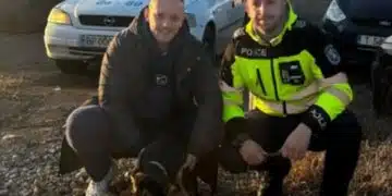 Добрият пример! Полицаи от Козлодуй спасиха домашен любимец от стопанин му и след това го осиновиха 10
