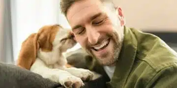 Колко думи може да запомни кучето ви: Ще бъдете шокирани 5