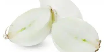 Защо тялото ви се нуждае от лук и трябва ли да го ядете всеки ден? 11