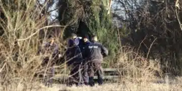 В местността "Стойчовци" намериха нещо зловещо 3