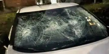 Във Враца мъж потроши над 30 коли с брадва 2