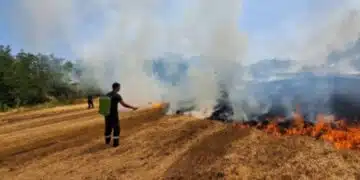 При пожар край Велико Търново близо 30 дка гора изгоряха 7