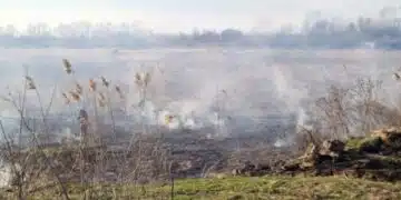 В Русенско потушиха големия пожар 3