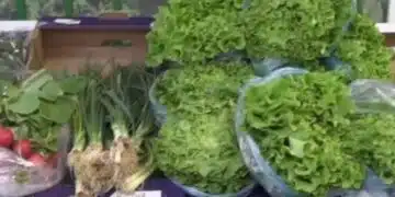 Роден продавач сподели, че у нас винаги преди празници всичко поскъпва 3
