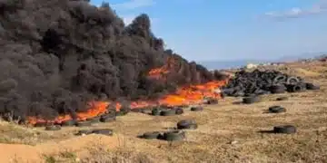 У нас зачестяват сигналите за пожари в сухи треви 1