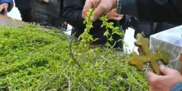 Разкрити са най-важните поверия за днешния празник, Цветница 15