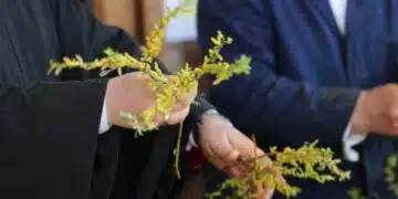 Върбовите клонки от Цветница НЕ се изхвърлят – стана ясно какво точно се прави с тях 6
