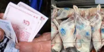 Агнешкото остана в спомените за родните пенсионери 12