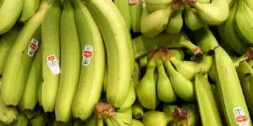 Топ 5 причини да ядете банани ВСЕКИ ДЕН и рецепта 8
