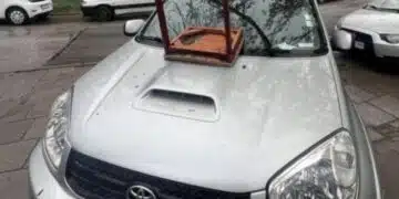 Шофьор получи нестандартна забележка в столицата 2