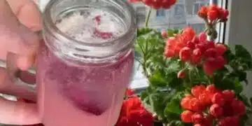 За всеки цветар! ТОП рецепта за цъфеж за всяко мушкато и орхидея 5