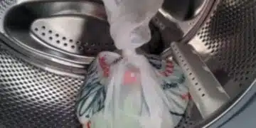 Ако едно твърдят, че пералнята е само за пране, то други споделят, че е чудесен уред и за готвене - рецептата е топ! 1