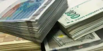 Роден икономист с топ коментар за дигиталното евро 3