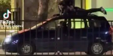 Пълен абсурд! В град Пловдив младежи се повозиха на покрива на кола по оживен булевард 1