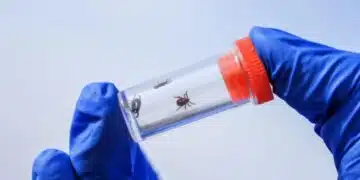 Двойно скочи броят на заразените с лаймска болест преди сезона на кърлежите 2