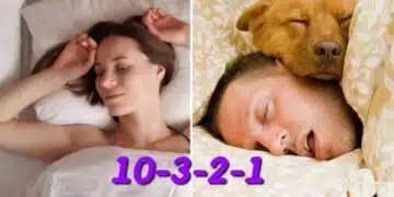 Методът 10-3-2-1 ви спасява от безсъние: не просто модна тенденция, но и работен лайфхак 3